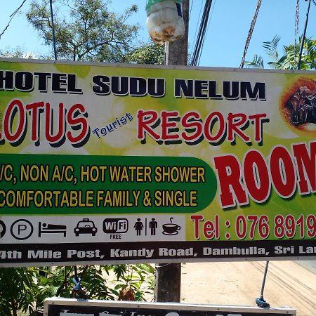 Lotus Inn Tourist Resort Dambulla Exterior foto