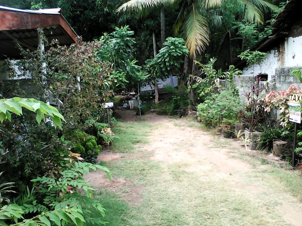 Lotus Inn Tourist Resort Dambulla Exterior foto