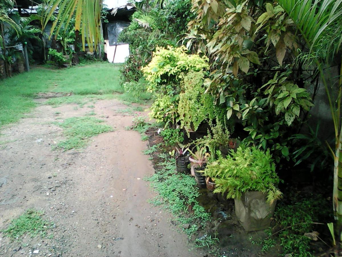 Lotus Inn Tourist Resort Dambulla Exterior foto